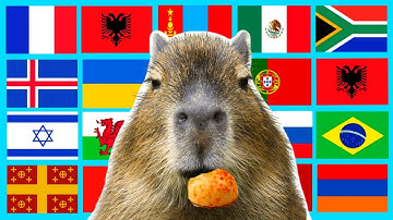 Capybara in different languages meme Part 2