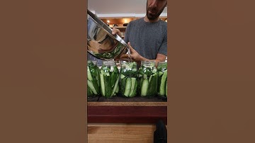 Never Buying Pickles Again 🥒