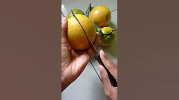 سابوتا كايمتو من القائمه الذهبيه المفضله لدي أو يقال سابوتا ابيو ولها لب له مذاق رائع عالي السكريات 