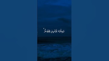 القران الكريم/تلاوه خاشعه/أسمع أنها دقيقه اجر لي ولكم 🌿