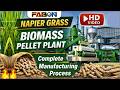 Napier Grass Based 2 TPH Biomass Pellet Plant | Complete Video Tour | FABON Engineering Pvt. Ltd.