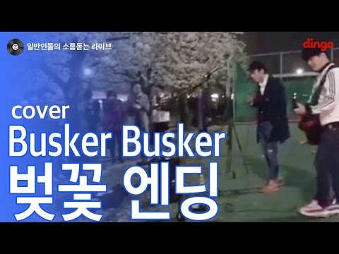 [일소라] 일반인 밴드 추억 - 벚꽃엔딩 (버스커버스커) cover
