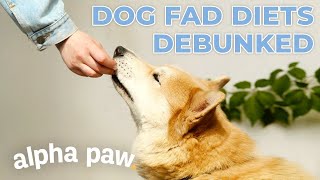 3 Fad Dog Diets DEBUNKED! by AlphaPaw 7 views 1 year ago 14 minutes, 39 seconds