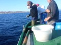 La pesca del tonno nello Stretto di Messina