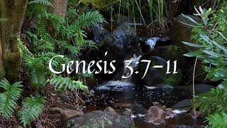 Daily Bible Reading for 12/27/24 - Genesis 3:7-11