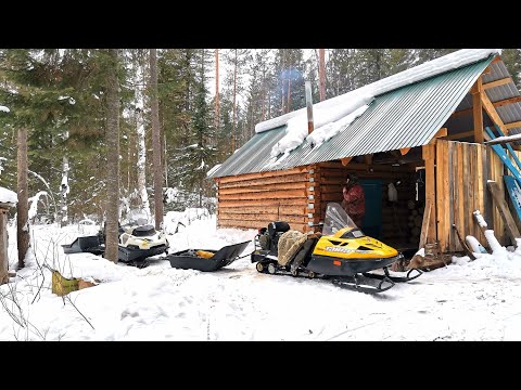 Расомаха на путике. Лисы приходят в избушки. Проверка капканов на соболя.