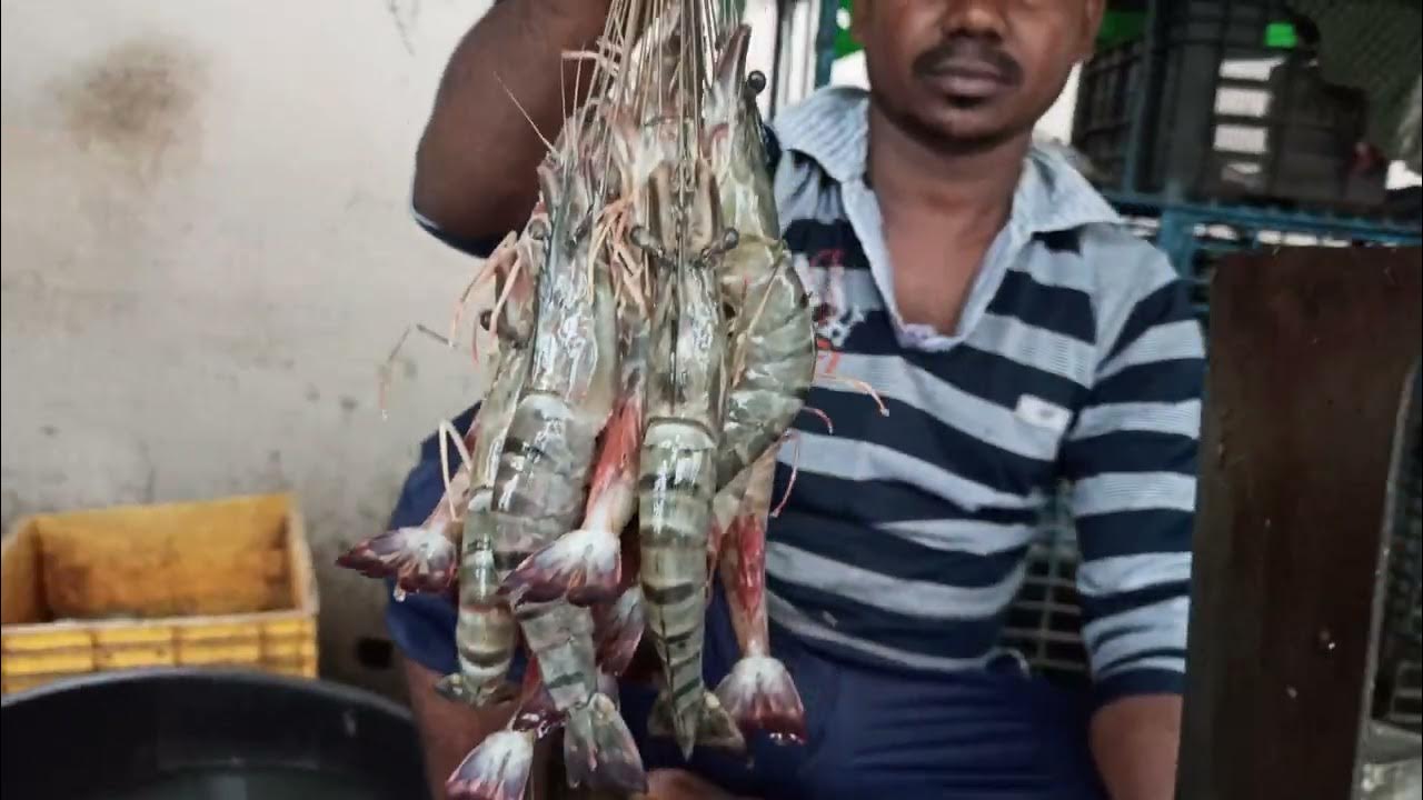 big bagda prawn in fish market Kolkata YouTube