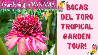 Tropical Food Forest and Ornamental Garden Tour: Bocas del Toro, Panama