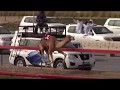 Dubai Camel Race - Crown Prince of Dubai Festival - 2019 - 1