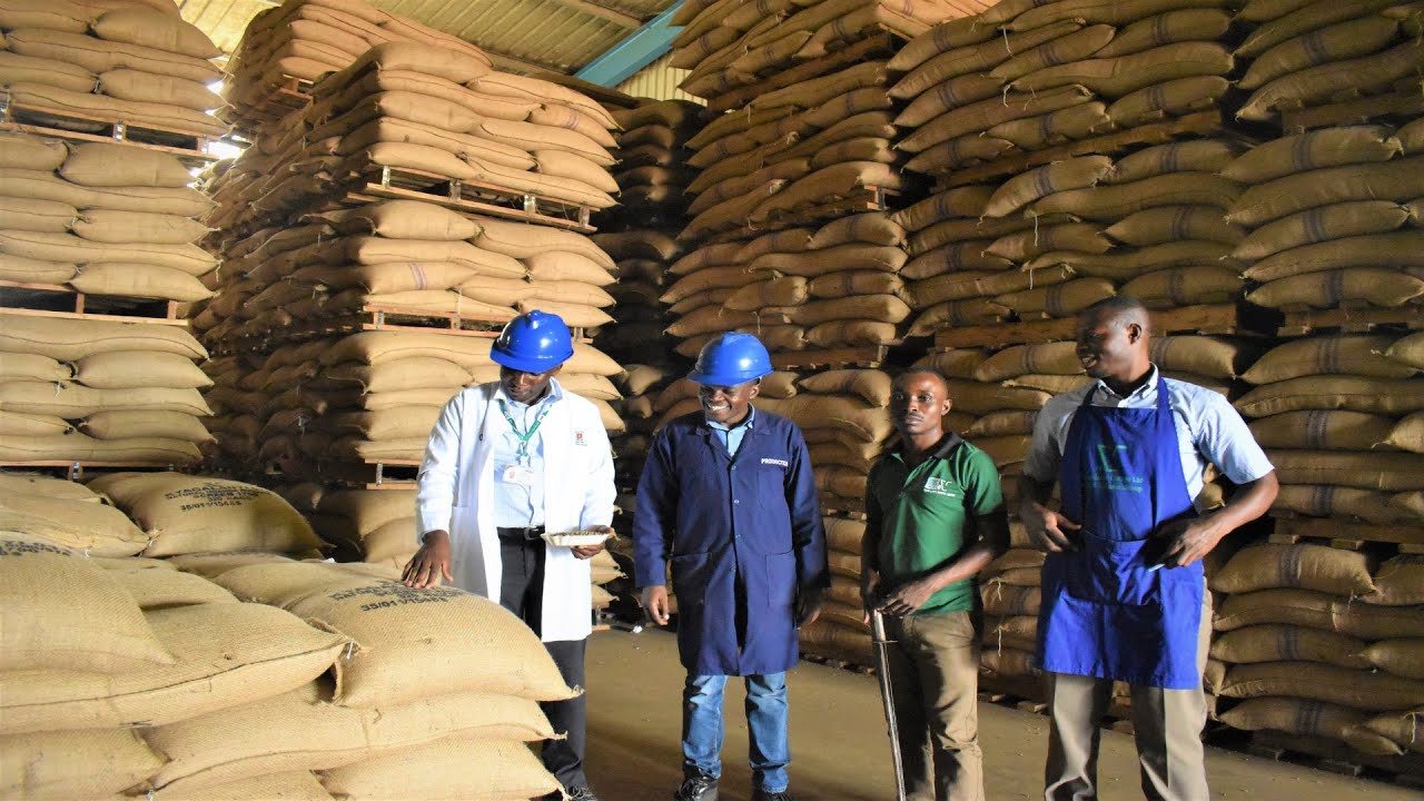 Still from Uganda exports almost $1 billion of coffee