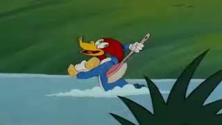 If Felix The Cat 1928 Took Over Woody Woodpecker Singing.