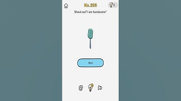 Brain Out Level 203 Shout out "I am handsome"