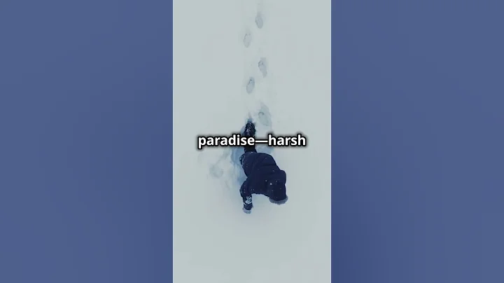 The Mayflower: A Journey of Courage and Hope #mayflower