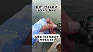 mancing nila #mancing #mancingceria #ikan #belajarmancing #fishing #mancingmantap #mancingmania