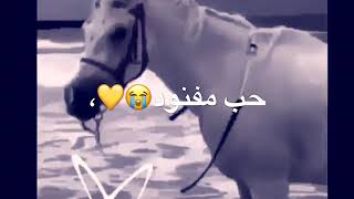 يابوي احبه حب مفنود .