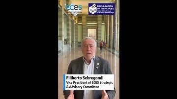 Filiberto Sebregondi Declaration of Principles on International Election Observation