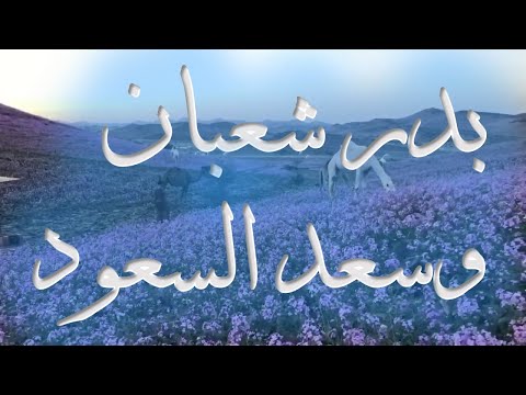 بدر شعبان وسعد السعود 