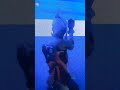 Abonner vous fortnite fun funny popular reels viral 100 24h 2023 focusshortsvide