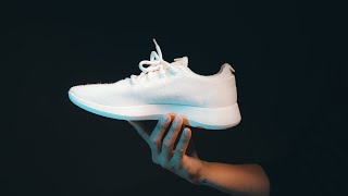 世界一環境に優しいシューズAllbirds