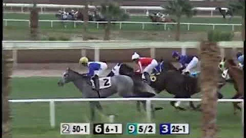 Cotton Fitzsimmons Mile  (2019)