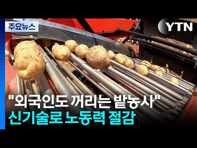 "외국인도 꺼리는 밭농사" 신기술로 노동력 90% 절감 / YTN