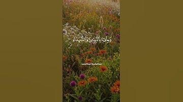 تلاوة تبهر القلوب.. "وَأَشْرَقَتِ الْأَرْضُ بِنُورِ رَبِّهَا" بصوت #عبد_الباسط_عبد_الصمد
