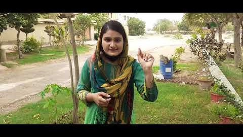 Metropolitan School August Week 1 Class 3 Science Lesson