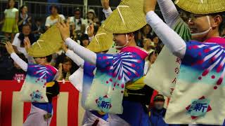 美人揃い徳島阿波踊り女踊りSP34連最高阿波おどりAwaodori