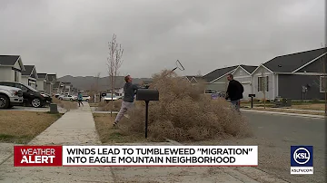 Winds flood Eagle Mountain neighborhood with tumbleweeds