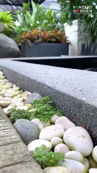 Kolam Ikan Koi besar di Klang Vallley | Konzept Garden