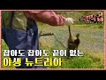 극한직업 - Extreme JOB_유해동물 포획단_#004