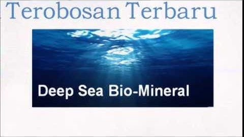 eCos2 Global Business Online