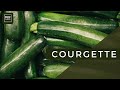 Dcouvrez les secrets de la plante de courgette  culture soins et rcolte