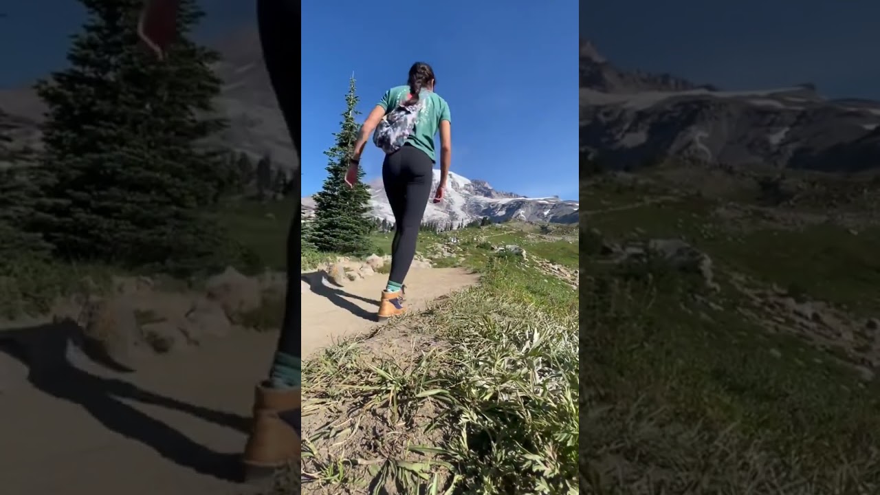 Mount Rainier National Park 🌲 