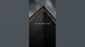 القارئ بلال سيف المصحف 