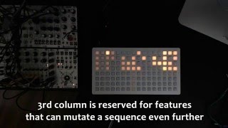 orca - rotate sequencers | mutate sequencer | global reset screenshot 5