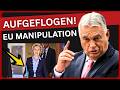 EU-Wahleinmischung aufgeflogen! – Die Umfragen lügen – Brüssel will Orbán stürzen!
