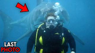 Last Photos Taken Before Animal Attacks!