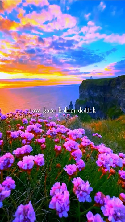 Issam Alnajjar Hadal Ahbek (Slowed) #music #lyrics