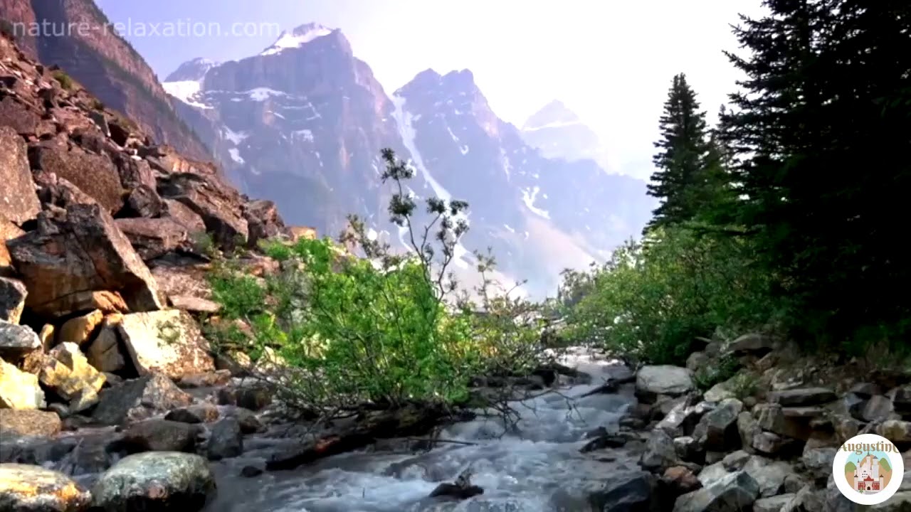 Wonderful Nature - Augustin C