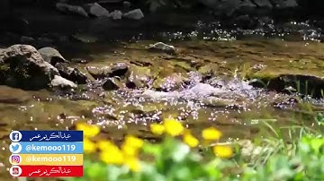 خواتيم سورة لقمان | عبدالكريم عمر