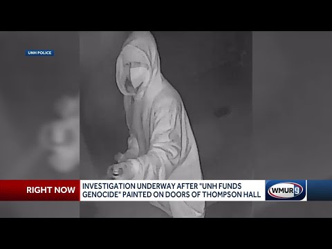 Surveillance image released
