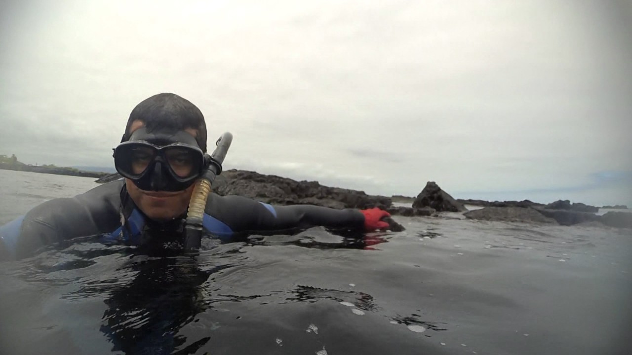 Snorkeling in Galapagos YouTube