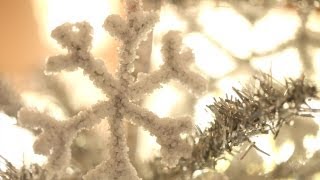 How to Make Borax Crystal Snowflakes | Kin Community