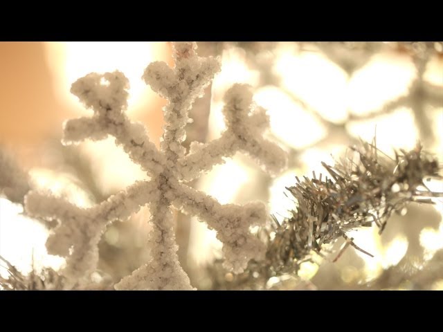 How to Make Borax Crystal Snowflakes - Real Food RN