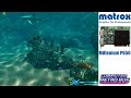 Matrox P650 Reef Demo | Retro GPU Benchmark + Frame Counter @ 1024 x 768 resolution