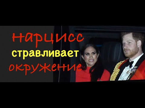 Меган маркл нарцисс