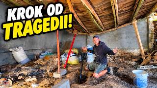 The shed renovation got out of hand! 😱