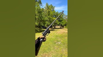 Henry U.S. Survival AR-7 .22 rifle