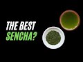 Whats the best sencha murasaki sencha vs asatsuyu